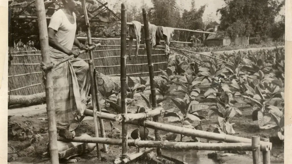 Bangladesh India Tensions Simmer As Extradition Demands Escalate - DVIDS - USAID, Historical Archive