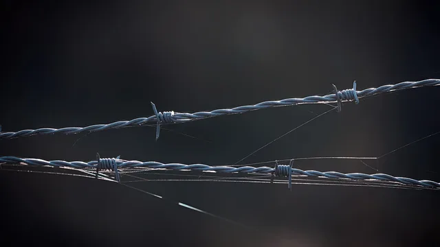बंगाल की सीमा सुरक्षा का केंद्र में आना और अमित शाह ने सुवेंदु अधिकारी की सक्रिय भूमिका की प्रशंसा की
