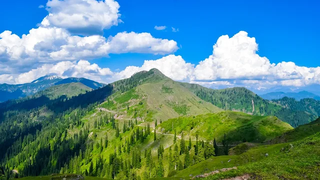 High Court Ruling Deals Blow to Separatist Agenda in Jammu and Kashmir - Pixabay / NomanSaeed492