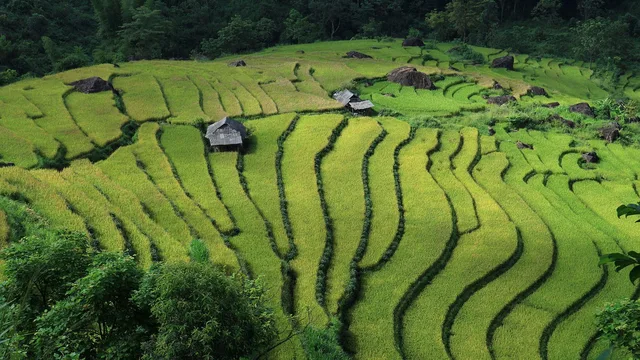 भारत और वियतनाम ने रक्षा साझेदारी के मजबूत बंधन बनाए