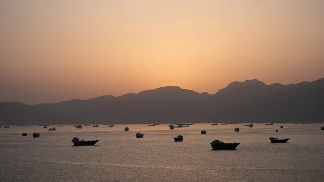 भारत ने हॉर्मुज जलडमरूमध्य पर हमलों की निंदा की: समुद्री सुरक्षा और सुरक्षा की गारंटी