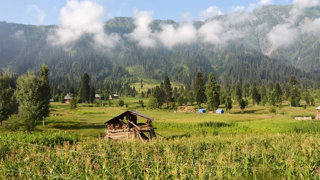 Pakistan's Failure to Protect Minority Heritage Sparks Global Concern - Pixabay / asad_78