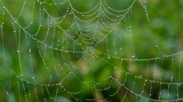 भ्रष्टाचार की जालसाजी का पर्दाफाश: भारत का प्रतिबद्धता से कार्रवाई आतंकवाद के खिलाफ सीमा पार